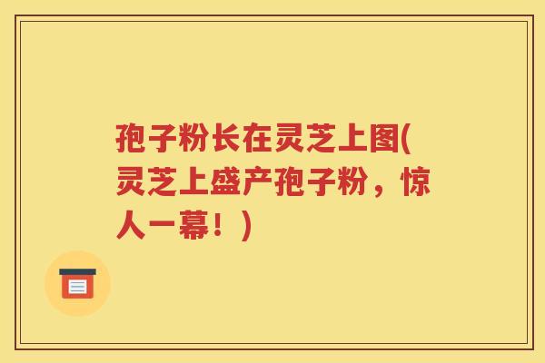 孢子粉长在灵芝上图(灵芝上盛产孢子粉，惊人一幕！)
