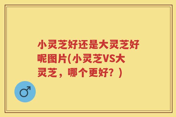 小灵芝好还是大灵芝好呢图片(小灵芝VS大灵芝，哪个更好？)
