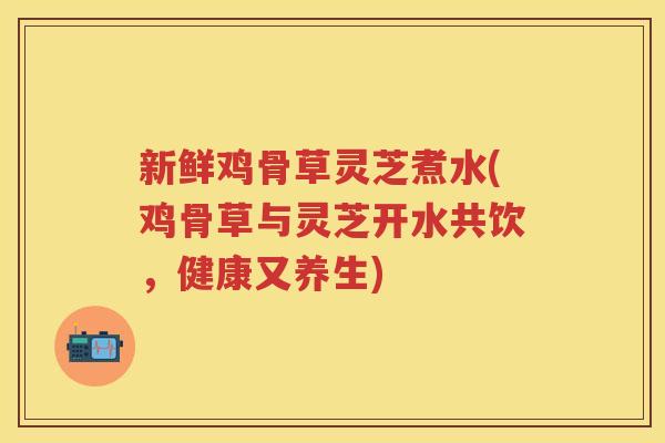 新鲜鸡骨草灵芝煮水(鸡骨草与灵芝开水共饮，健康又养生)