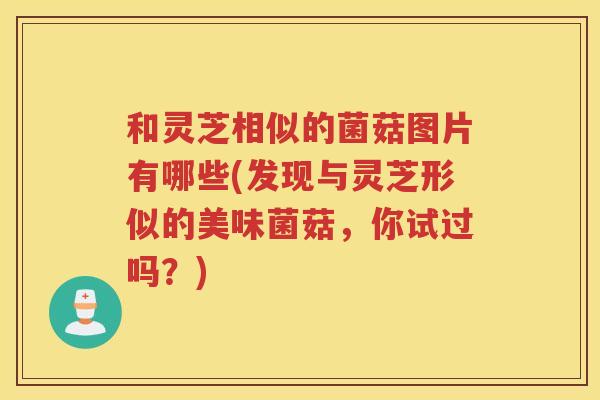 和灵芝相似的菌菇图片有哪些(发现与灵芝形似的美味菌菇，你试过吗？)