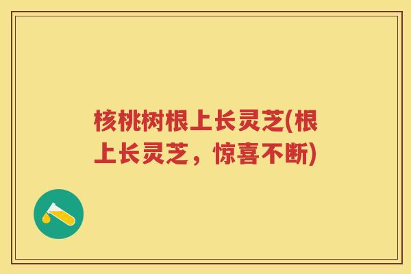 核桃树根上长灵芝(根上长灵芝，惊喜不断)