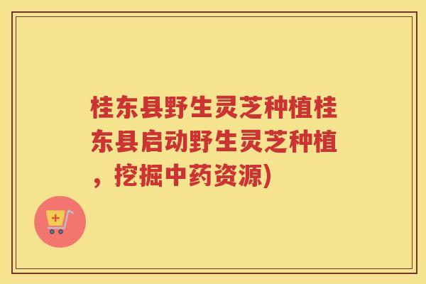 桂东县野生灵芝种植桂东县启动野生灵芝种植，挖掘中药资源)