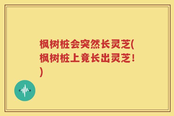 枫树桩会突然长灵芝(枫树桩上竟长出灵芝！)