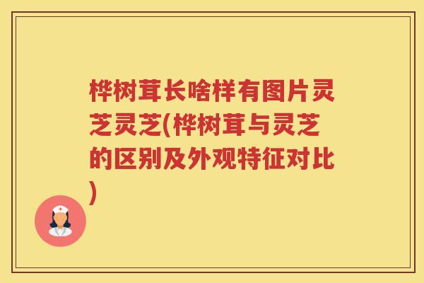 桦树茸长啥样有图片灵芝灵芝(桦树茸与灵芝的区别及外观特征对比)