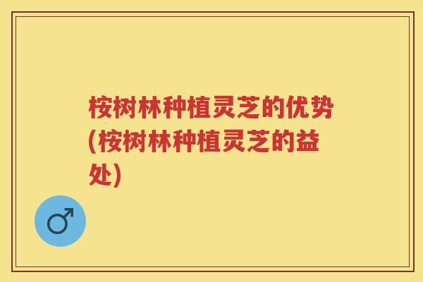 桉树林种植灵芝的优势(桉树林种植灵芝的益处)