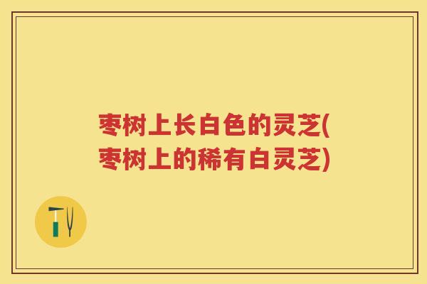 枣树上长白色的灵芝(枣树上的稀有白灵芝)
