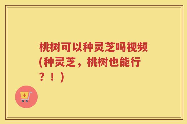 桃树可以种灵芝吗视频(种灵芝，桃树也能行？！)