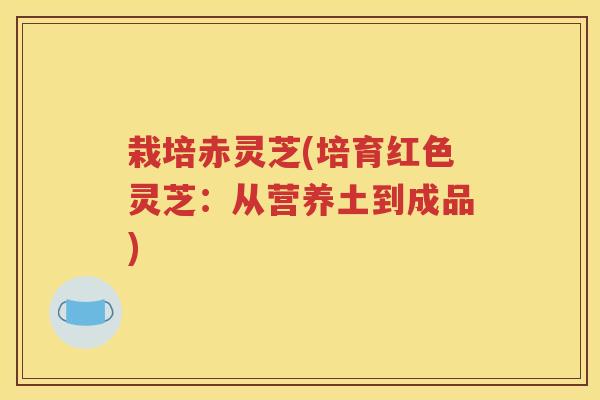 栽培赤灵芝(培育红色灵芝：从营养土到成品)