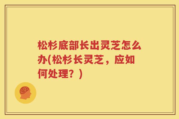 松杉底部长出灵芝怎么办(松杉长灵芝，应如何处理？)