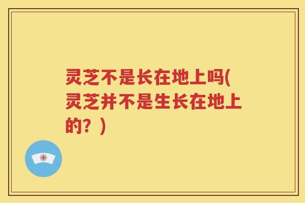 灵芝不是长在地上吗(灵芝并不是生长在地上的？)