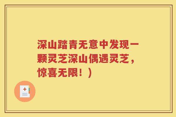 深山踏青无意中发现一颗灵芝深山偶遇灵芝，惊喜无限！)