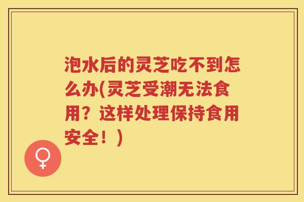泡水后的灵芝吃不到怎么办(灵芝受潮无法食用？这样处理保持食用安全！)