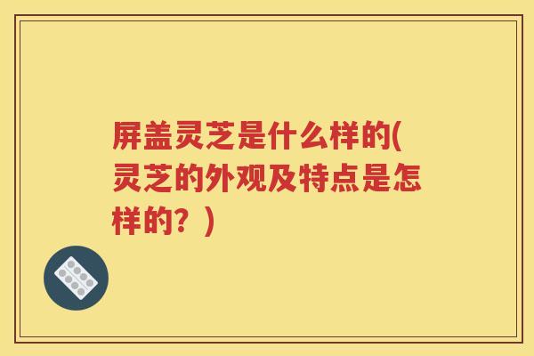屏盖灵芝是什么样的(灵芝的外观及特点是怎样的？)