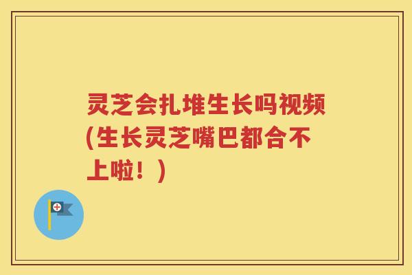 灵芝会扎堆生长吗视频(生长灵芝嘴巴都合不上啦！)