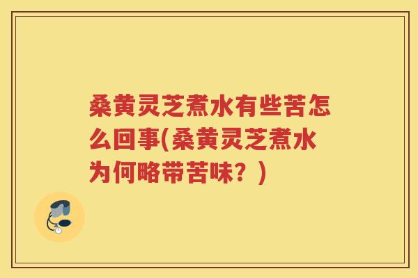 桑黄灵芝煮水有些苦怎么回事(桑黄灵芝煮水为何略带苦味？)
