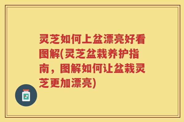灵芝如何上盆漂亮好看图解(灵芝盆栽养护指南，图解如何让盆栽灵芝更加漂亮)