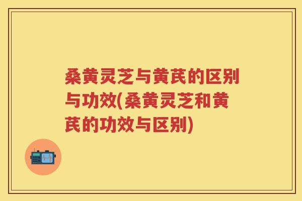 桑黄灵芝与黄芪的区别与功效(桑黄灵芝和黄芪的功效与区别)