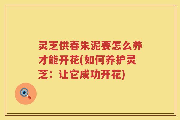 灵芝供春朱泥要怎么养才能开花(如何养护灵芝：让它成功开花)