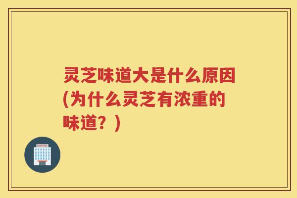 灵芝味道大是什么原因(为什么灵芝有浓重的味道？)