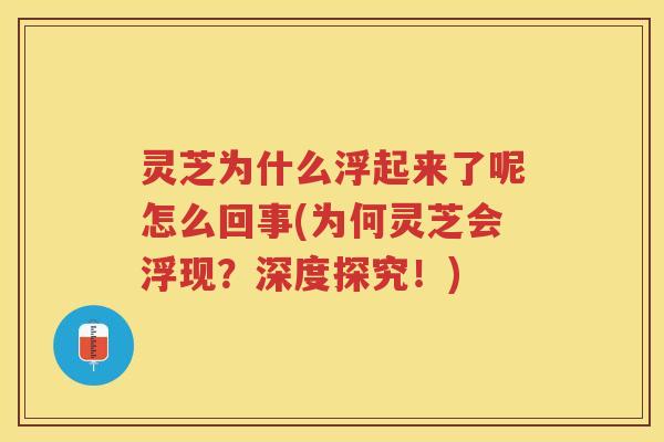 灵芝为什么浮起来了呢怎么回事(为何灵芝会浮现？深度探究！)