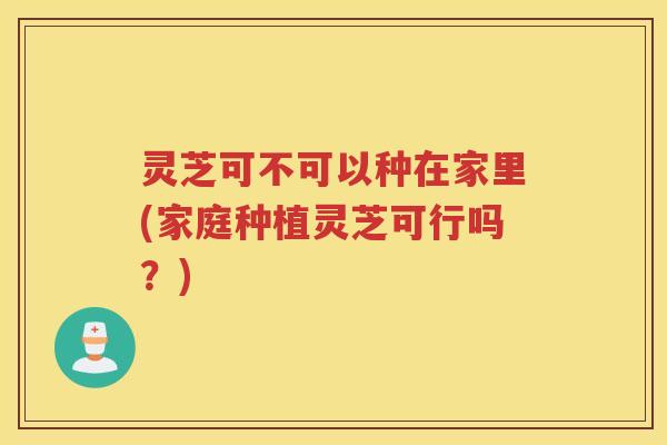 灵芝可不可以种在家里(家庭种植灵芝可行吗？)