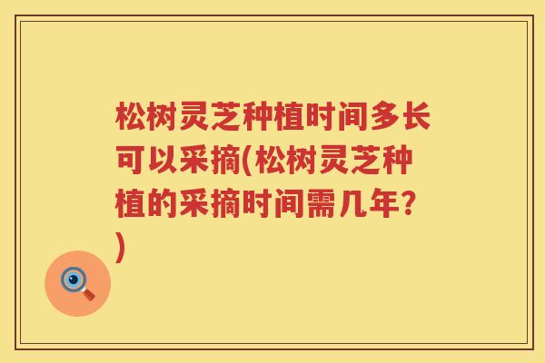 松树灵芝种植时间多长可以采摘(松树灵芝种植的采摘时间需几年？)