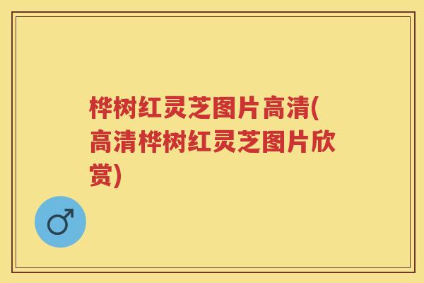 桦树红灵芝图片高清(高清桦树红灵芝图片欣赏)