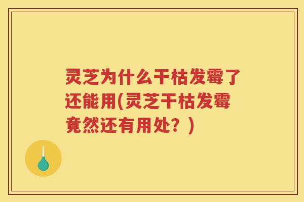 灵芝为什么干枯发霉了还能用(灵芝干枯发霉竟然还有用处?)