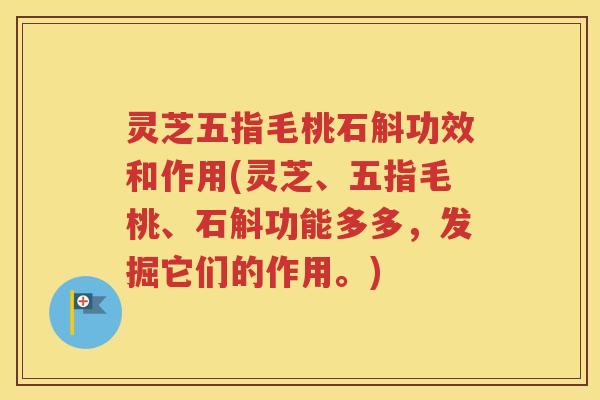 灵芝五指毛桃石斛功效和作用(灵芝、五指毛桃、石斛功能多多，发掘它们的作用。)
