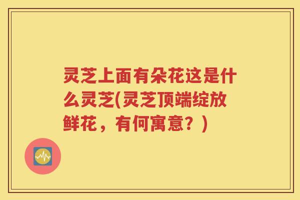 灵芝上面有朵花这是什么灵芝(灵芝顶端绽放鲜花，有何寓意？)