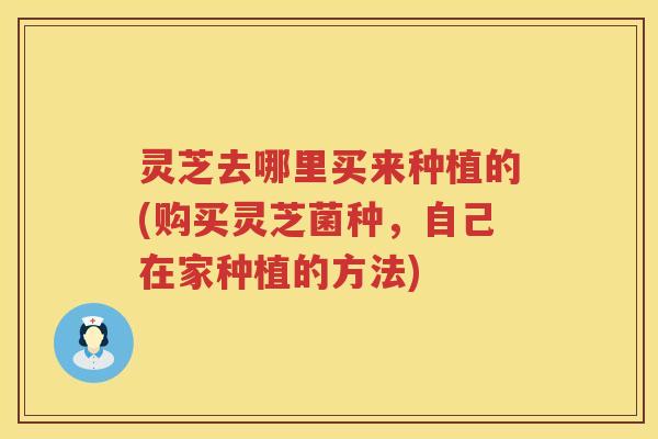 灵芝去哪里买来种植的(购买灵芝菌种，自己在家种植的方法)