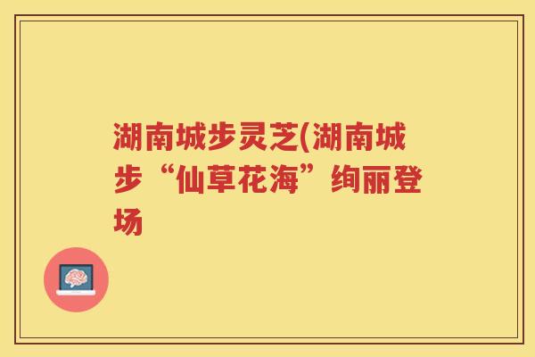 湖南城步灵芝(湖南城步“仙草花海”绚丽登场