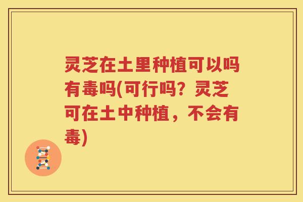 灵芝在土里种植可以吗有毒吗(可行吗?灵芝可在土中种植,不会有毒) 灵芝在土里种植可以吗有毒吗(可行吗?灵芝可在土中种植,不会有毒)