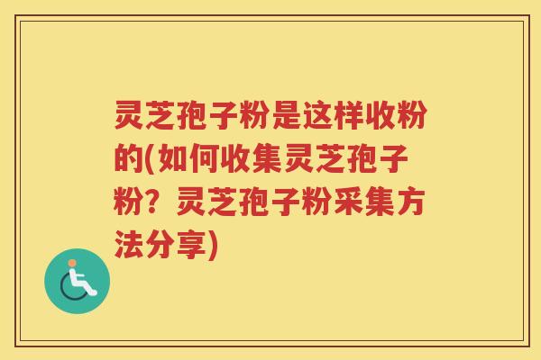 灵芝孢子粉是这样收粉的(如何收集灵芝孢子粉？灵芝孢子粉采集方法分享)