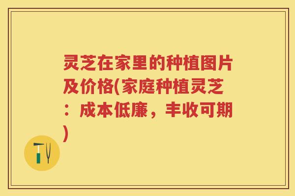 灵芝在家里的种植图片及价格(家庭种植灵芝：成本低廉，丰收可期)