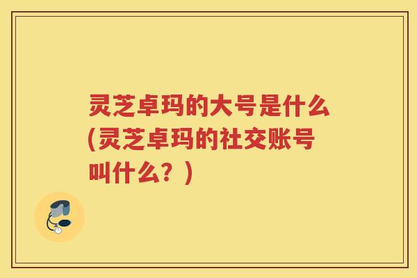 灵芝卓玛的大号是什么(灵芝卓玛的社交账号叫什么？)
