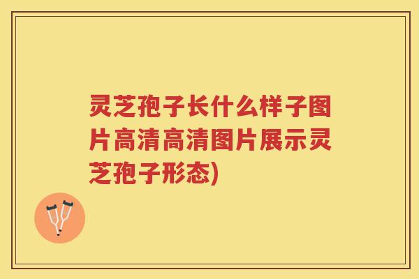 灵芝孢子长什么样子图片高清高清图片展示灵芝孢子形态)