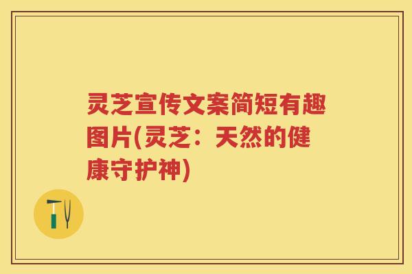 灵芝宣传文案简短有趣图片(灵芝：天然的健康守护神)