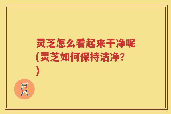 灵芝怎么看起来干净呢(灵芝如何保持洁净？)