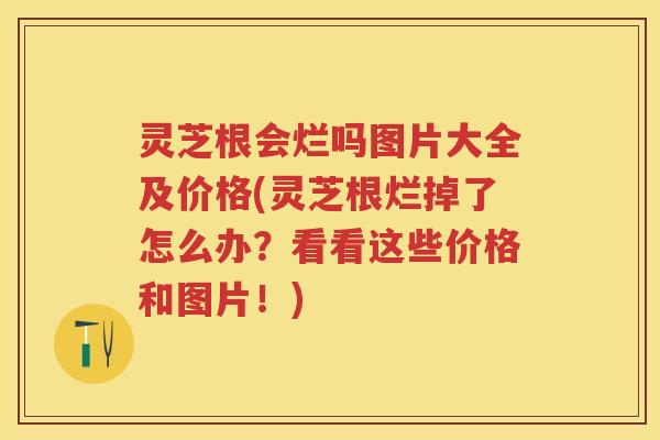 灵芝根会烂吗图片大全及价格(灵芝根烂掉了怎么办？看看这些价格和图片！)