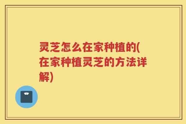 灵芝怎么在家种植的(在家种植灵芝的方法详解)