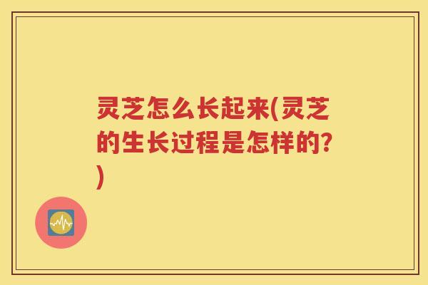 灵芝怎么长起来(灵芝的生长过程是怎样的？)