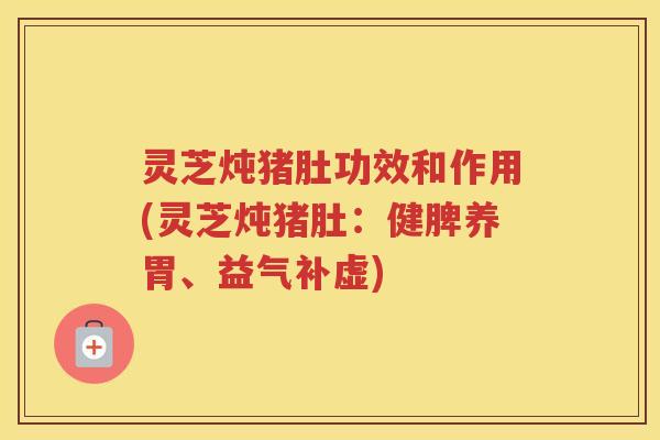 灵芝炖猪肚功效和作用(灵芝炖猪肚：健脾养胃、益气补虚)