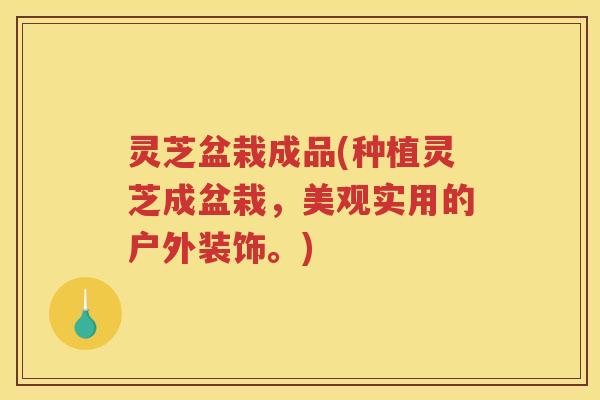 灵芝盆栽成品(种植灵芝成盆栽，美观实用的户外装饰。)