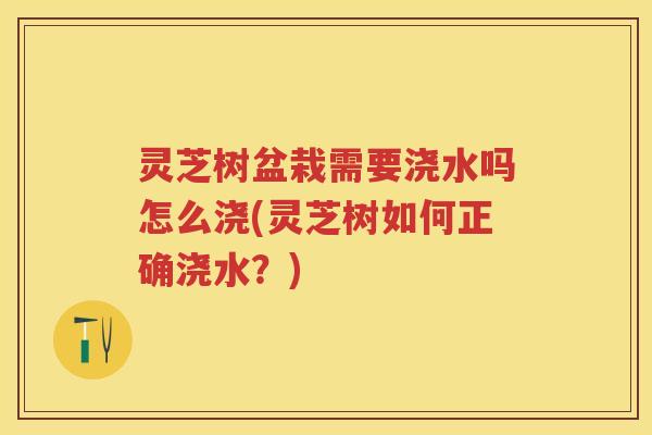 灵芝树盆栽需要浇水吗怎么浇(灵芝树如何正确浇水？)