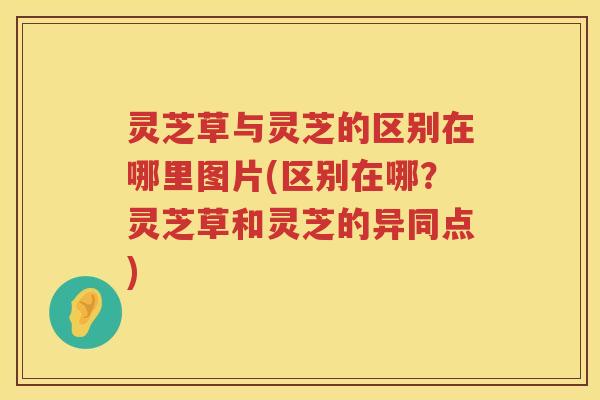 灵芝草与灵芝的区别在哪里图片(区别在哪?灵芝草和灵芝的异同点) 灵芝草与灵芝的区别在哪里图片(区别在哪?灵芝草和灵芝的异同点)