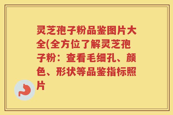 灵芝孢子粉品鉴图片大全(全方位了解灵芝孢子粉：查看毛细孔、颜色、形状等品鉴指标照片