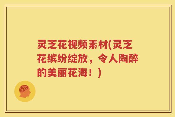 灵芝花视频素材(灵芝花缤纷绽放,令人陶醉的美丽花海!) 灵芝花视频素材(灵芝花缤纷绽放,令人陶醉的美丽花海!)