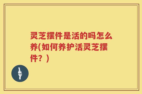 灵芝摆件是活的吗怎么养(如何养护活灵芝摆件？)