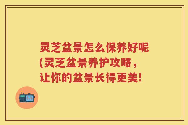 灵芝盆景怎么保养好呢(灵芝盆景养护攻略，让你的盆景长得更美!